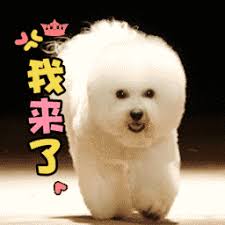 錦織博 ビット コイン 保有 者 jpg 「パラル大道～世界へのアイヌの心～」の練習 ( C)HTB オリンピック・パラリンピックの東京開催が決定した後